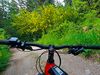 Sport e-Bike gite montagna Val di Non